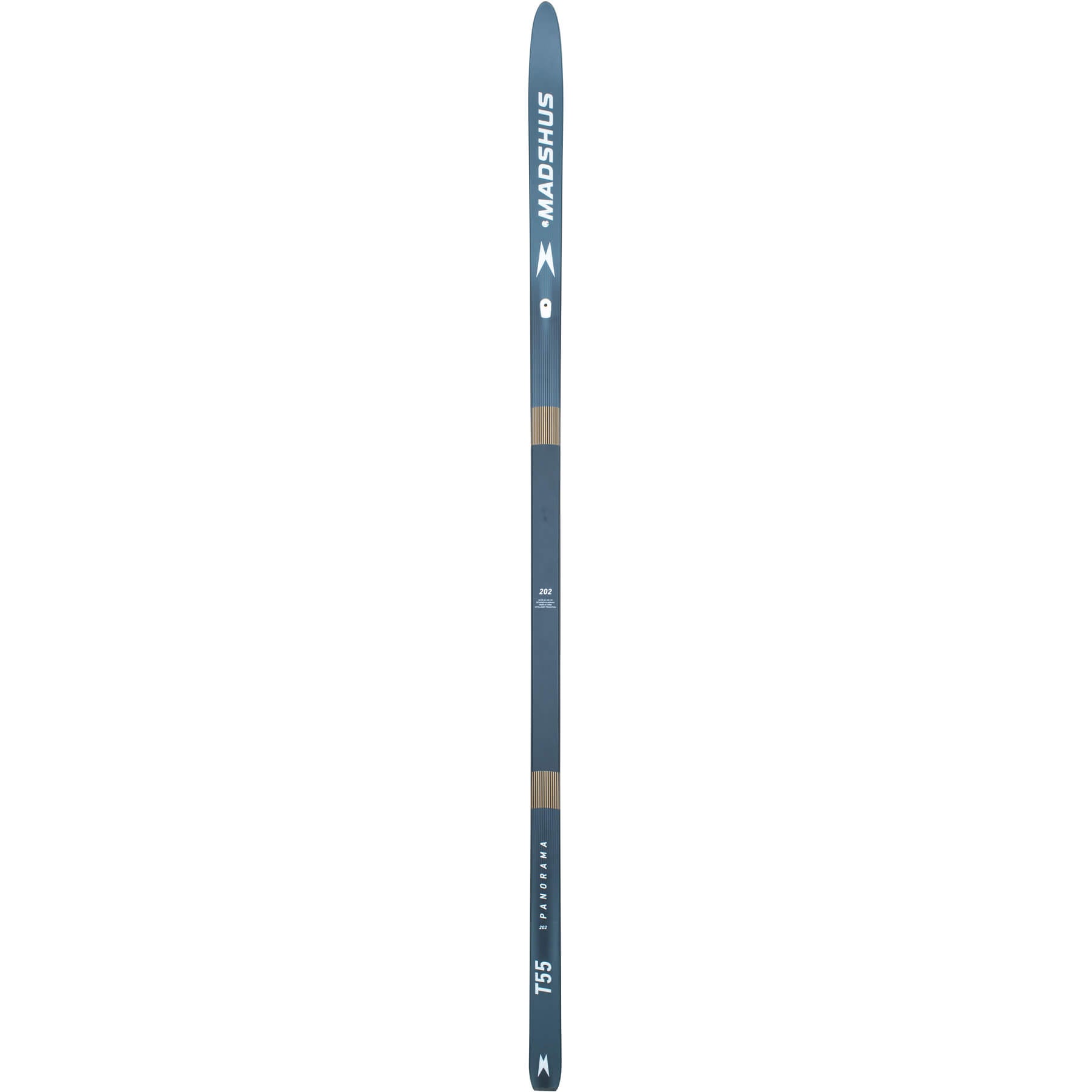 Madshus Panorama T55 Intelligrip Transition Ski | Boulder Nordic