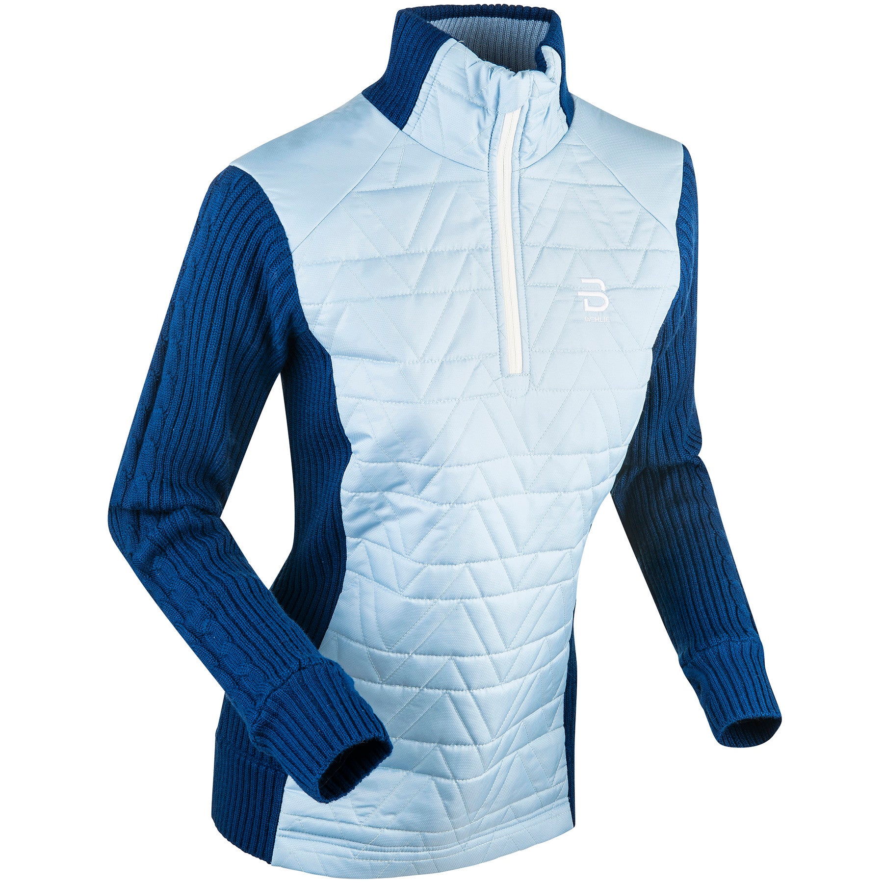 Buy cashmere-blue-23515 Bjorn Daehlie Sweater Half Zip Comfy W