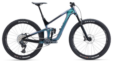 Giant Sample Trance Advanced 29 1 M Blue Dragonfly
