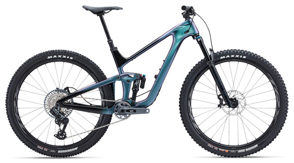 Giant Sample Trance Advanced 29 1 M Blue Dragonfly