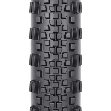 WTB Raddler Tire - 700 x 40 TCS Tubeless Folding BLK Light Fast Rolling SG2