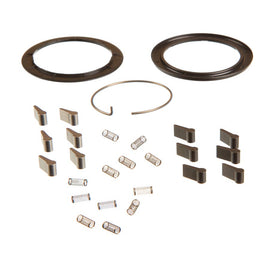 Zipp Spring and Pawl Set - ZM2