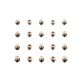 SRAM Lever Bleed Screw 20pcs