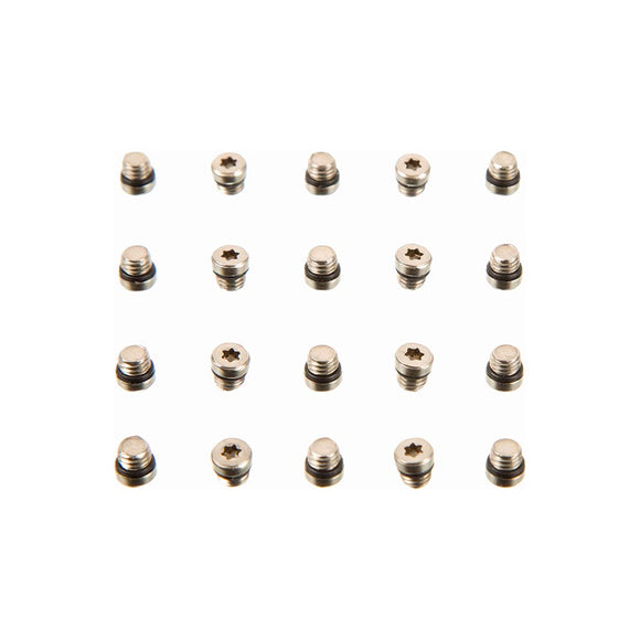 SRAM Lever Bleed Screw 20pcs