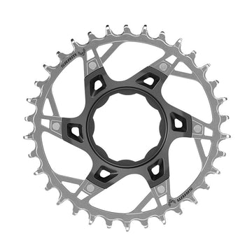 SRAM XX T-Type Chainring - 34t TQ Ebike Direct Mount Silver