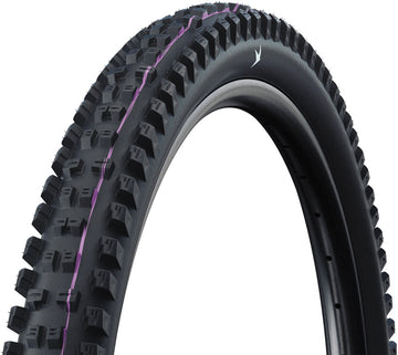 Schwalbe Tacky Chan Tire - 29 x 2.50 Tubeless Folding BLK Pro Trail Ultra Soft Radial E-50