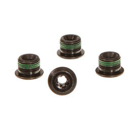 SRAM Bosch/Fazua Bolt Kit Chainring Hardware M10x0.75 Kit