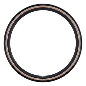 Schwalbe G-One R Tire - 700 x 45 Tubeless Folding BLK/Transparent Evolution Line Pro Addix Race