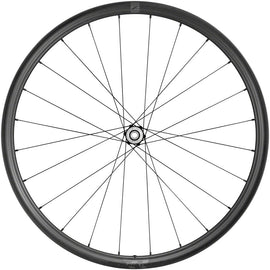 Fulcrum Rapid Red Carbon Rear Wheel - 700c 12 x 142mm Center-Lock Disc Campagnolo N3W BLK
