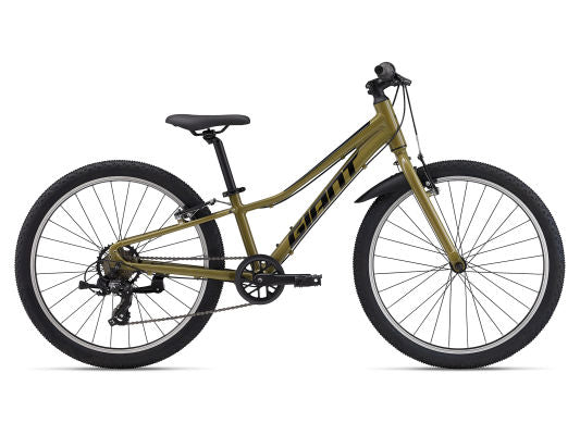 Talon 24 Lite (2025) - Dried Herb