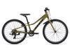 Talon 24 Lite (2025) - Dried Herb