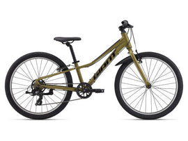 Talon 24 Lite (2025) - Dried Herb