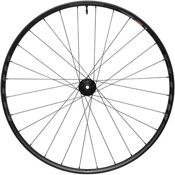 WTB Proterra Light i25 Rear Wheel - 700 12 x 142mm Center-Lock Black XDR 28H