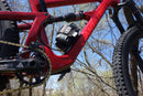 B-RAD Medium Strap and Accessory Mount-7