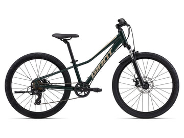 Giant Talon 24 Disc One Size Trekking Green