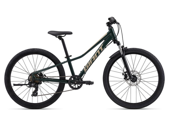 Giant Talon 24 Disc One Size Trekking Green
