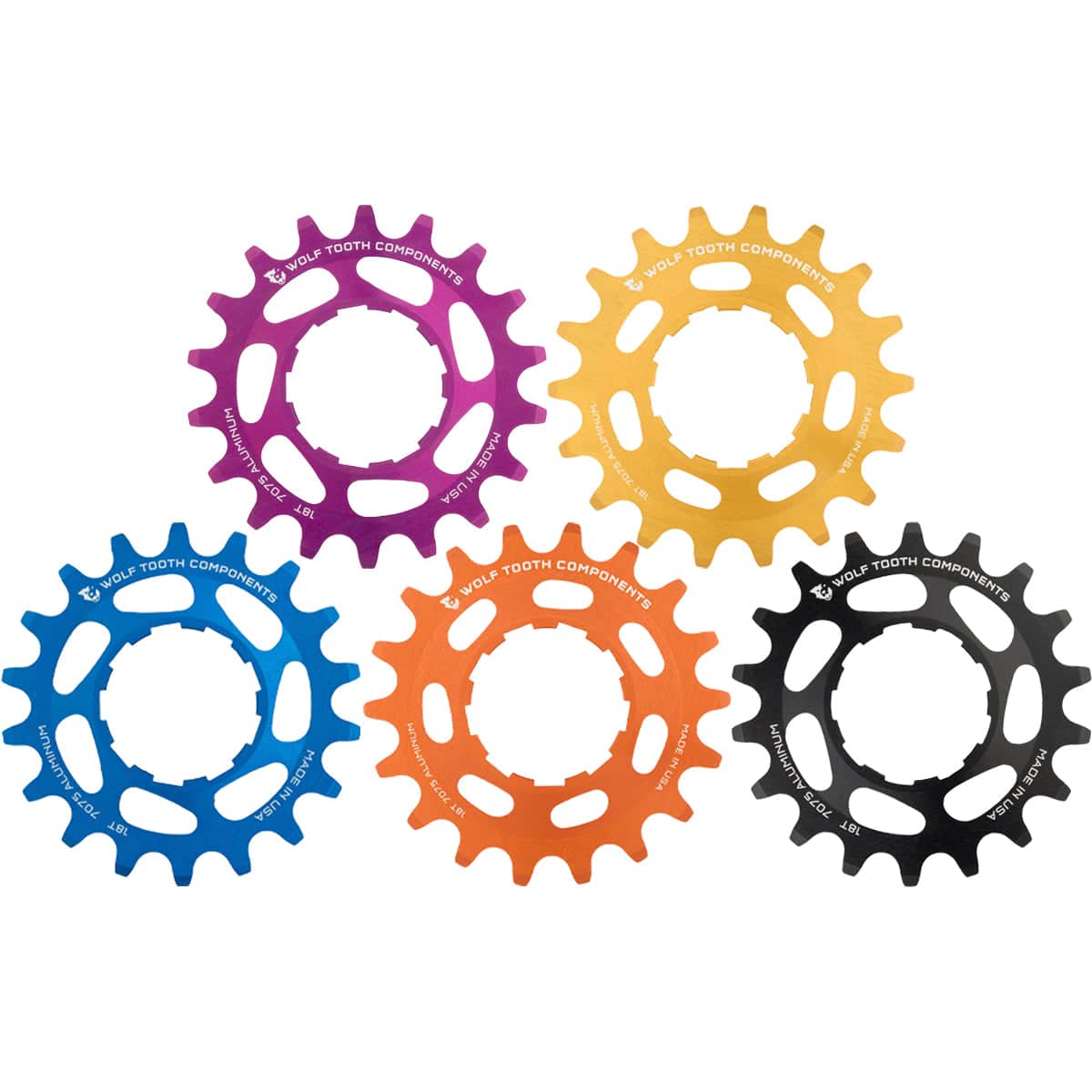 Aluminum Single Speed Cog | Boulder Nordic & Cycle Sport