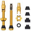 Tubeless Valve Stem Kit for Clik Valve-6