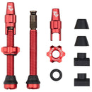 Tubeless Valve Stem Kit for Clik Valve-5