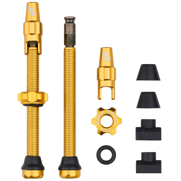 Tubeless Valve Stem Kit for Clik Valve