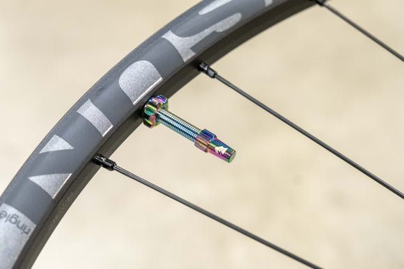 Tubeless Presta Valve Stem Kit