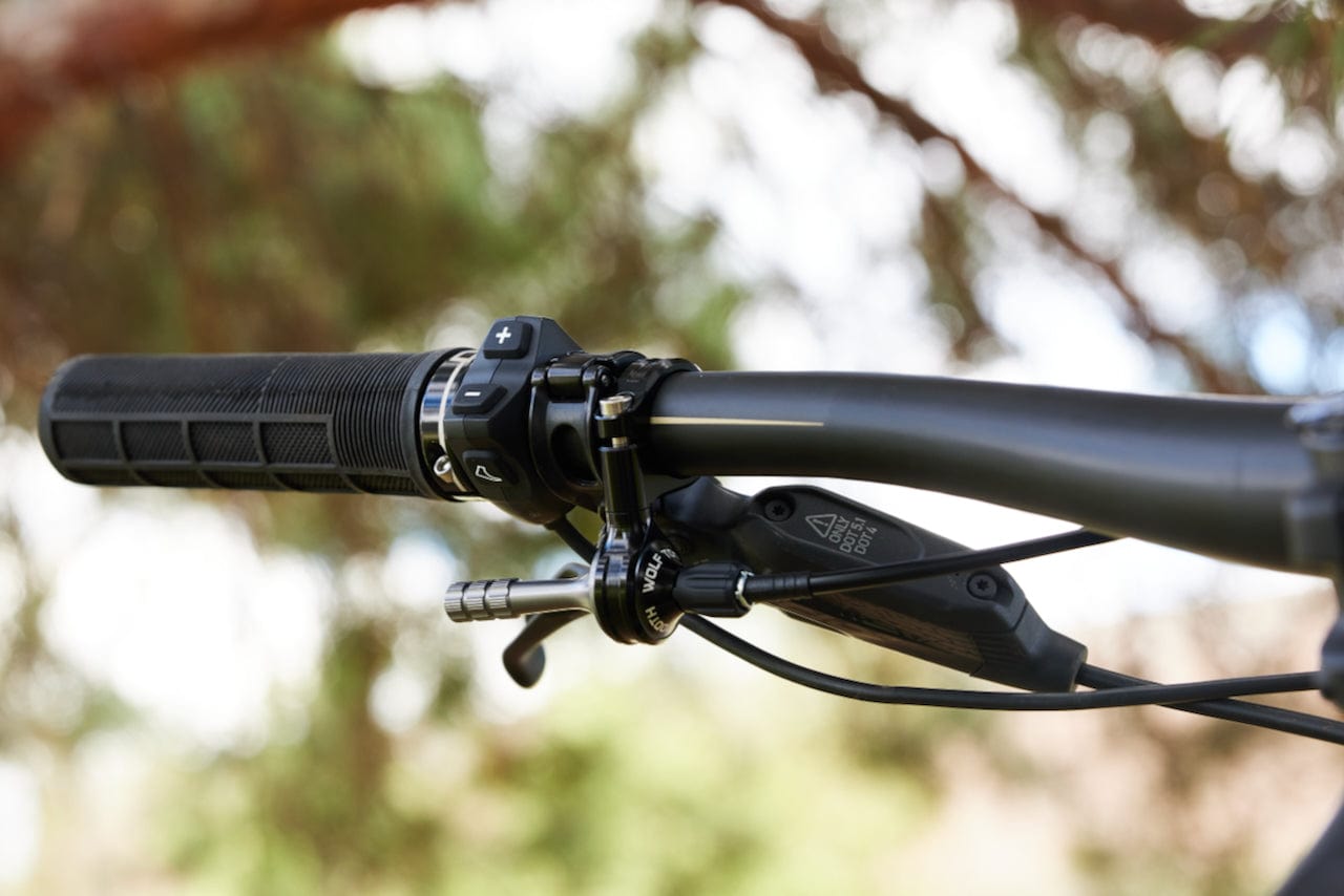 Wolf Tooth ReMote 360