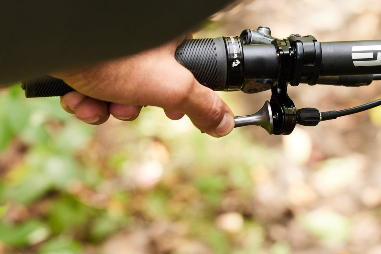 Wolf Tooth ReMote 360