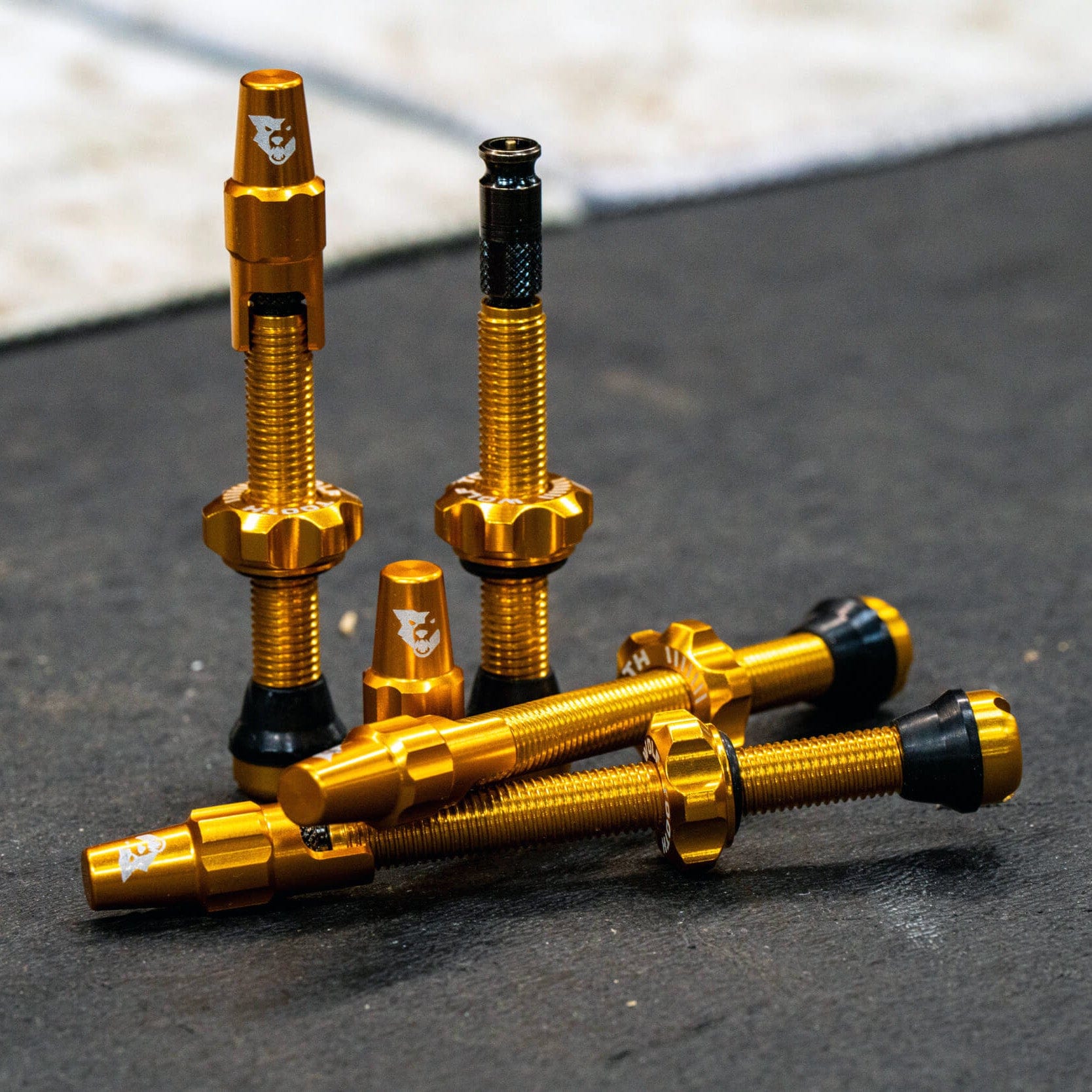 Tubeless Valve Stem Kit for Clik Valve