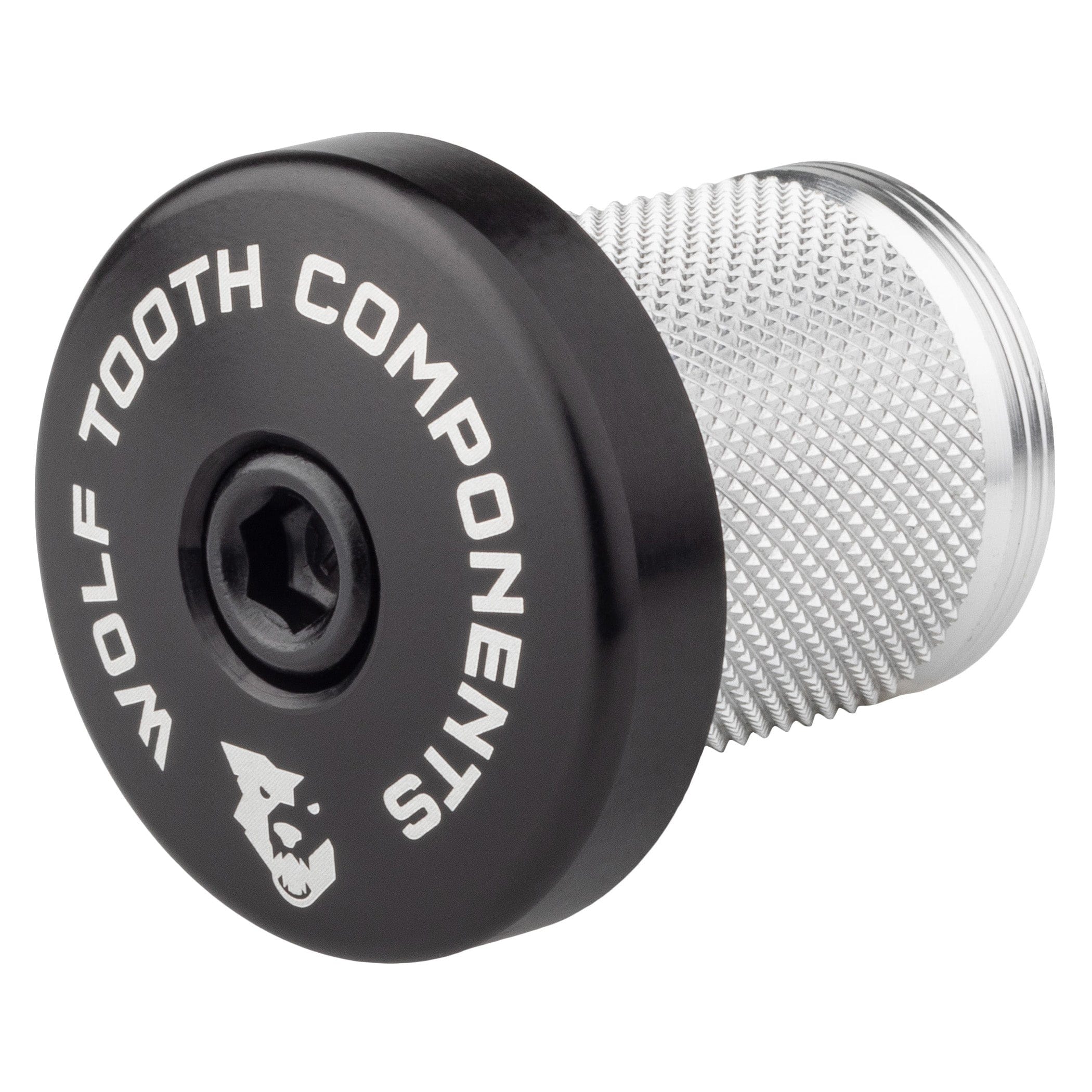 Compression Plug with Integrated Spacer Stem Cap