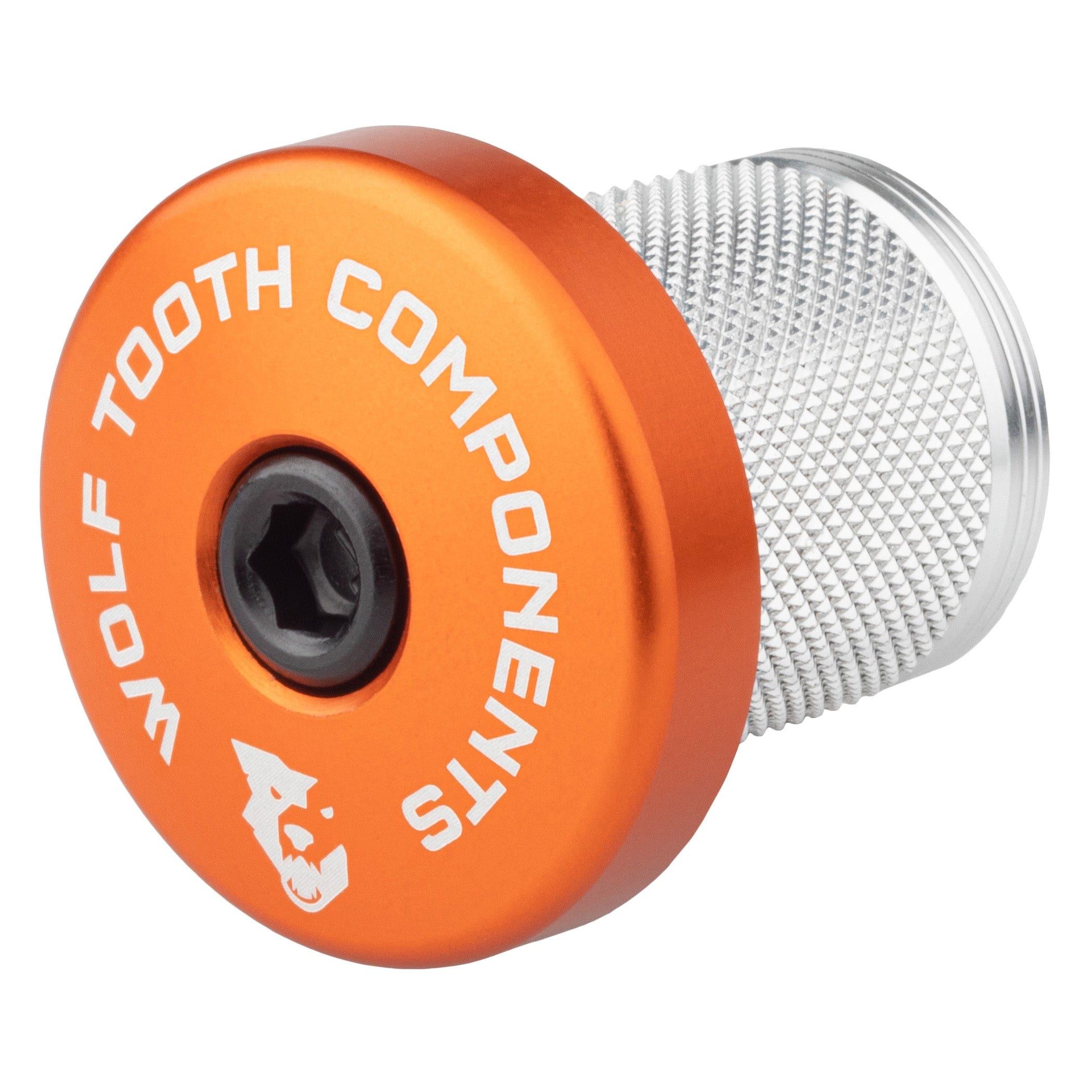 Compression Plug with Integrated Spacer Stem Cap