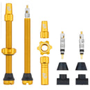 Tubeless Presta Valve Stem Kit-5