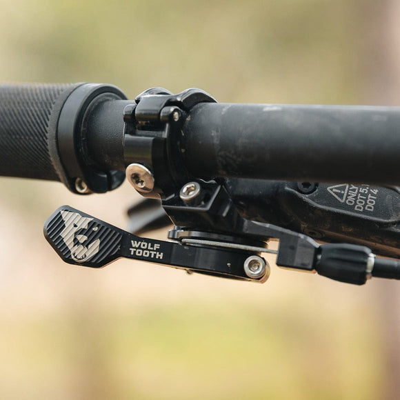Wolf Tooth ReMote Pro
