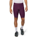 Men's Expedition Shorts - DARK VIOLET / S
