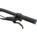 Giant Faith Copper-10