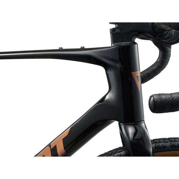 GIANT Revolt Advanced 2