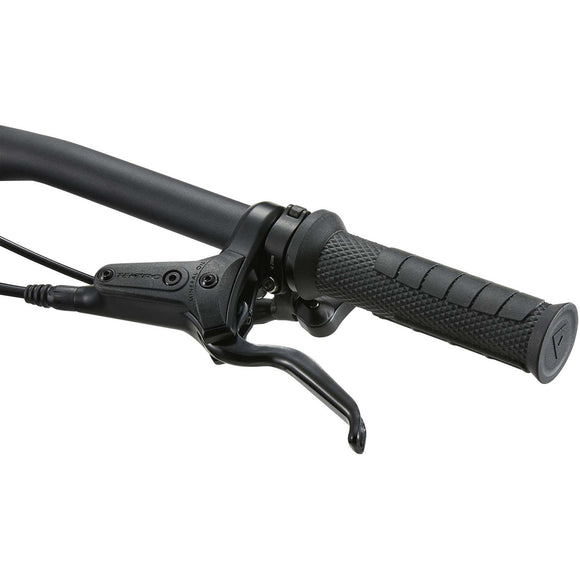 Giant Faith 24 Raw Aluminum