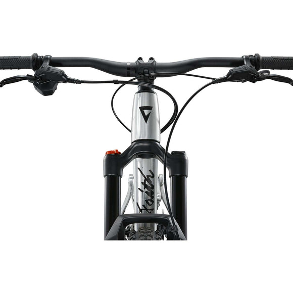 Giant Faith 24 Raw Aluminum