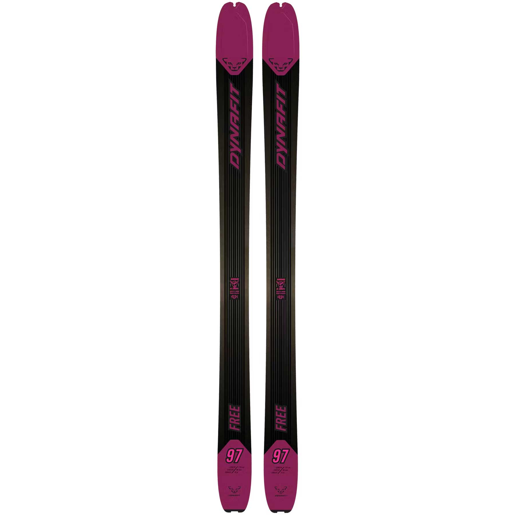 Dynafit Free 97 Ski | Boulder Nordic & Cycle Sport