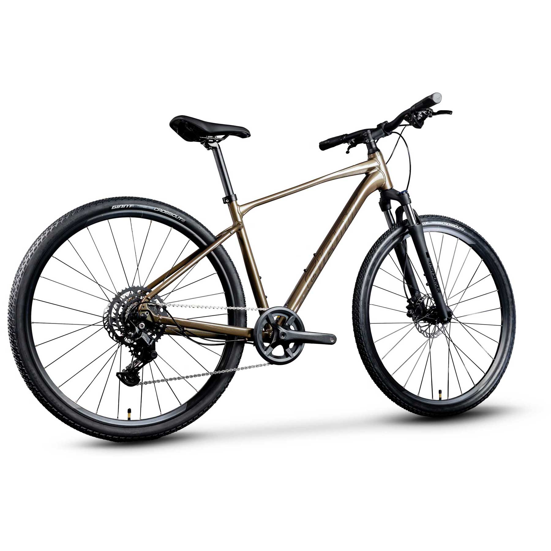 giant quasar bicycle Giant Roam Disc 2