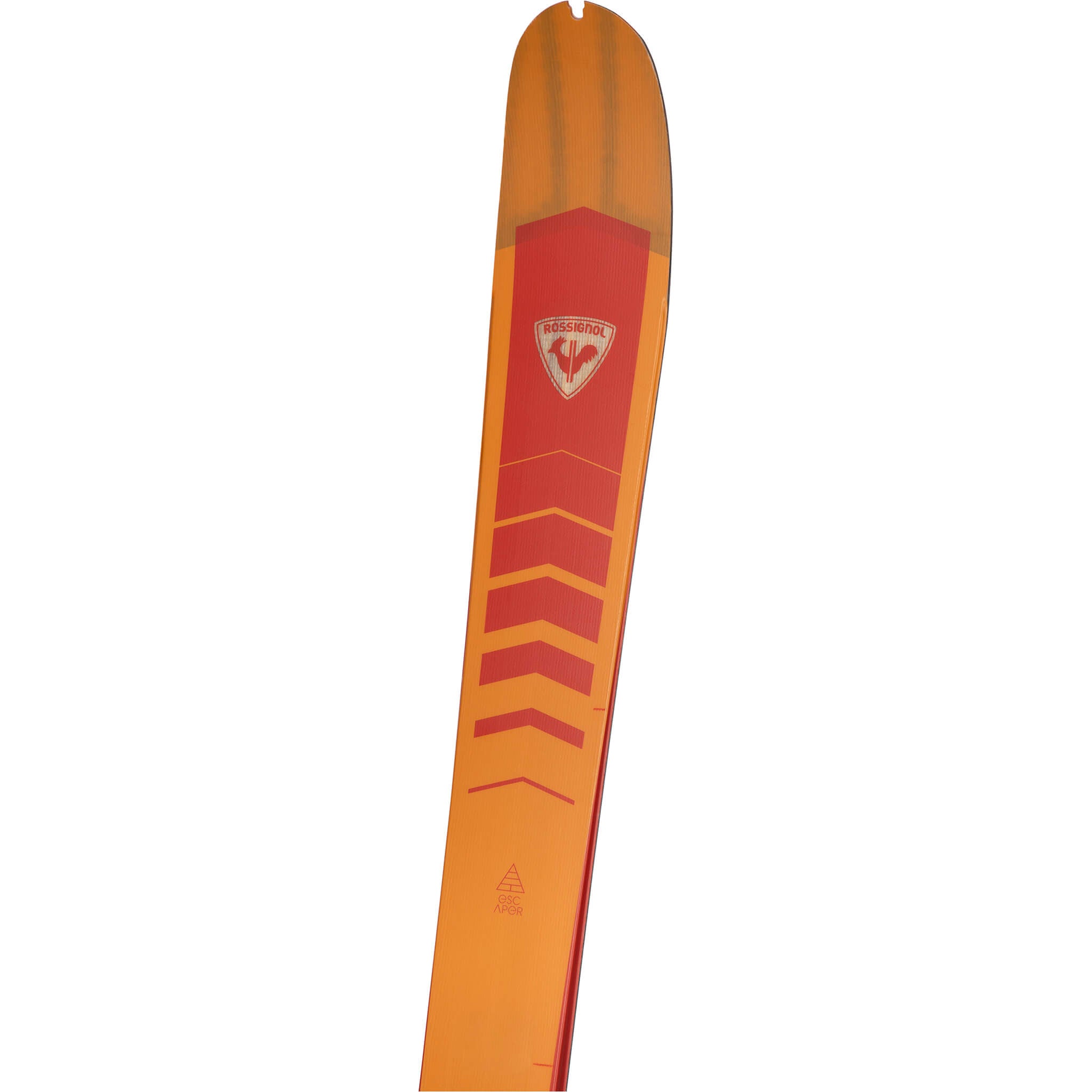 Rossignol XP 120 Positrack Ski