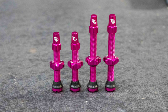 Tubeless Presta Valve Stem Kit