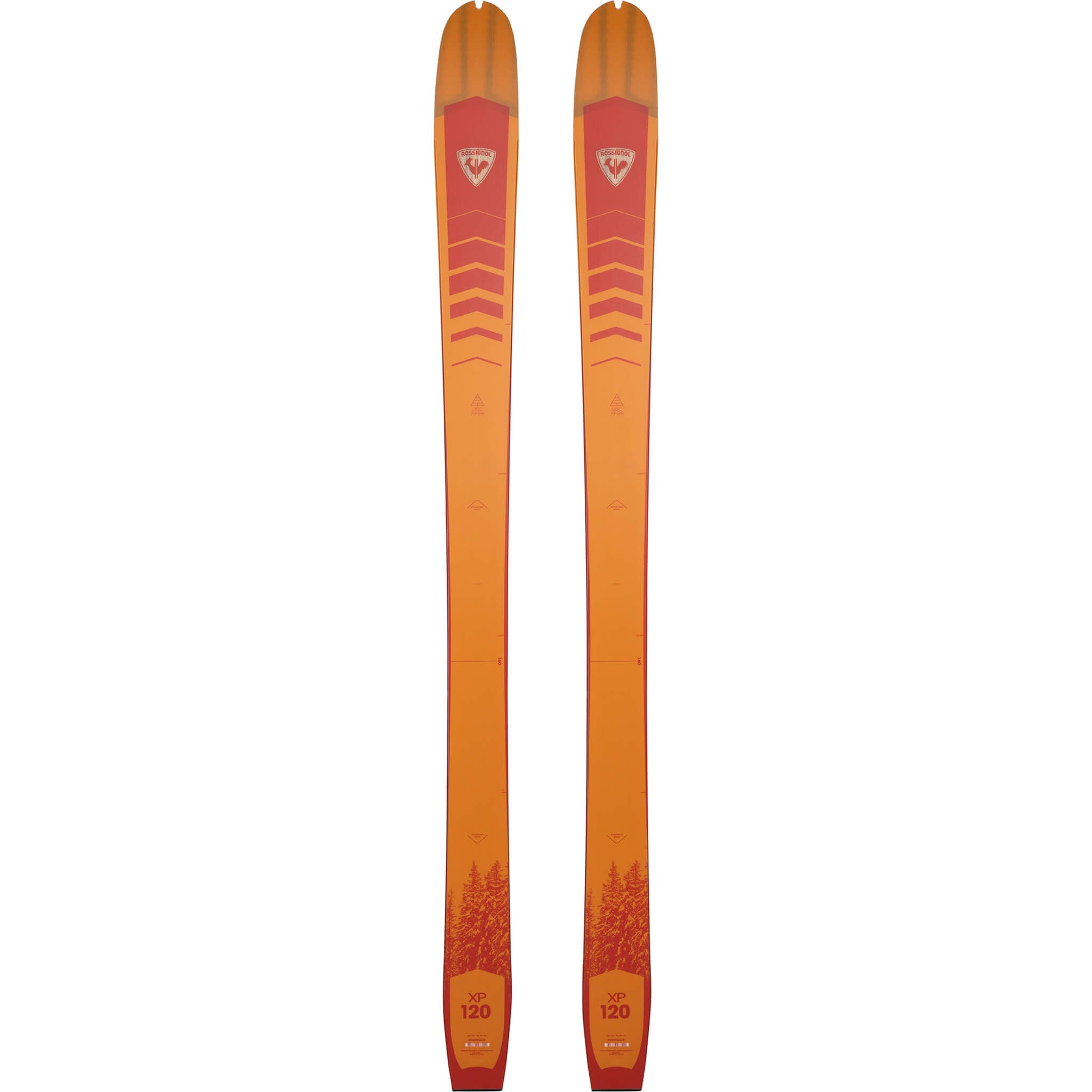 Rossignol XP 120 Positrack Ski