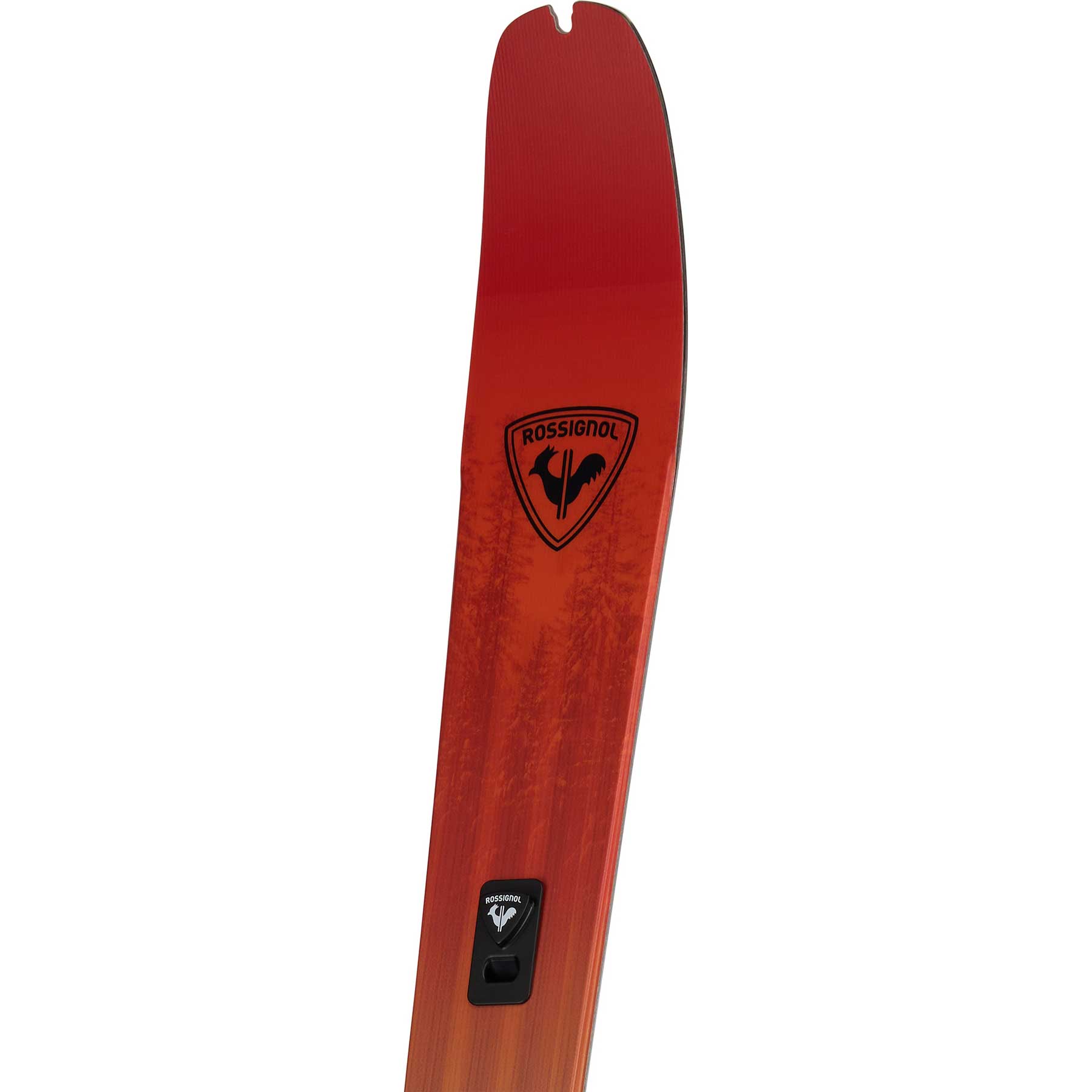 Rossignol XP 105 Positrack Ski | Boulder Nordic & Cycle Sport