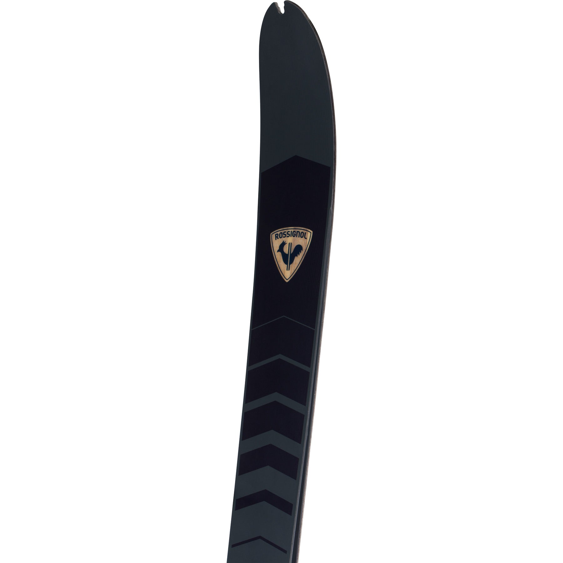 Rossignol XP 100 Positrack Ski | Boulder Nordic & Cycle Sport