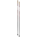 Swix Triac 4.0 Aero Pole-10