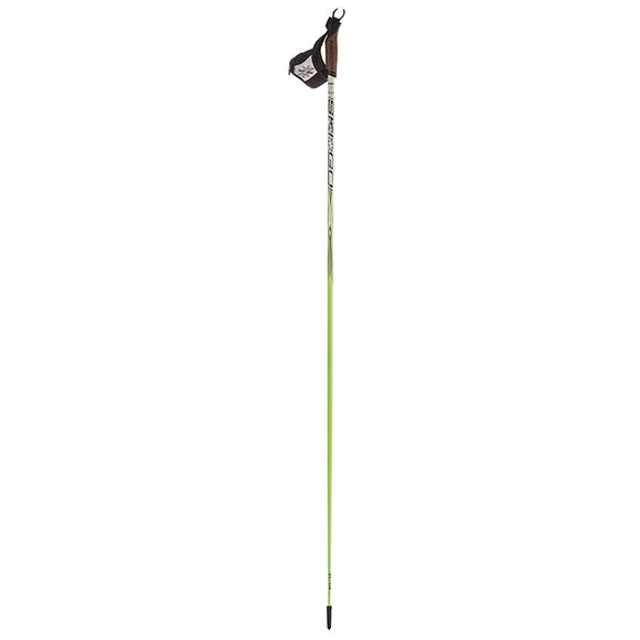 SkiGo Roller Pole 80% Carbon
