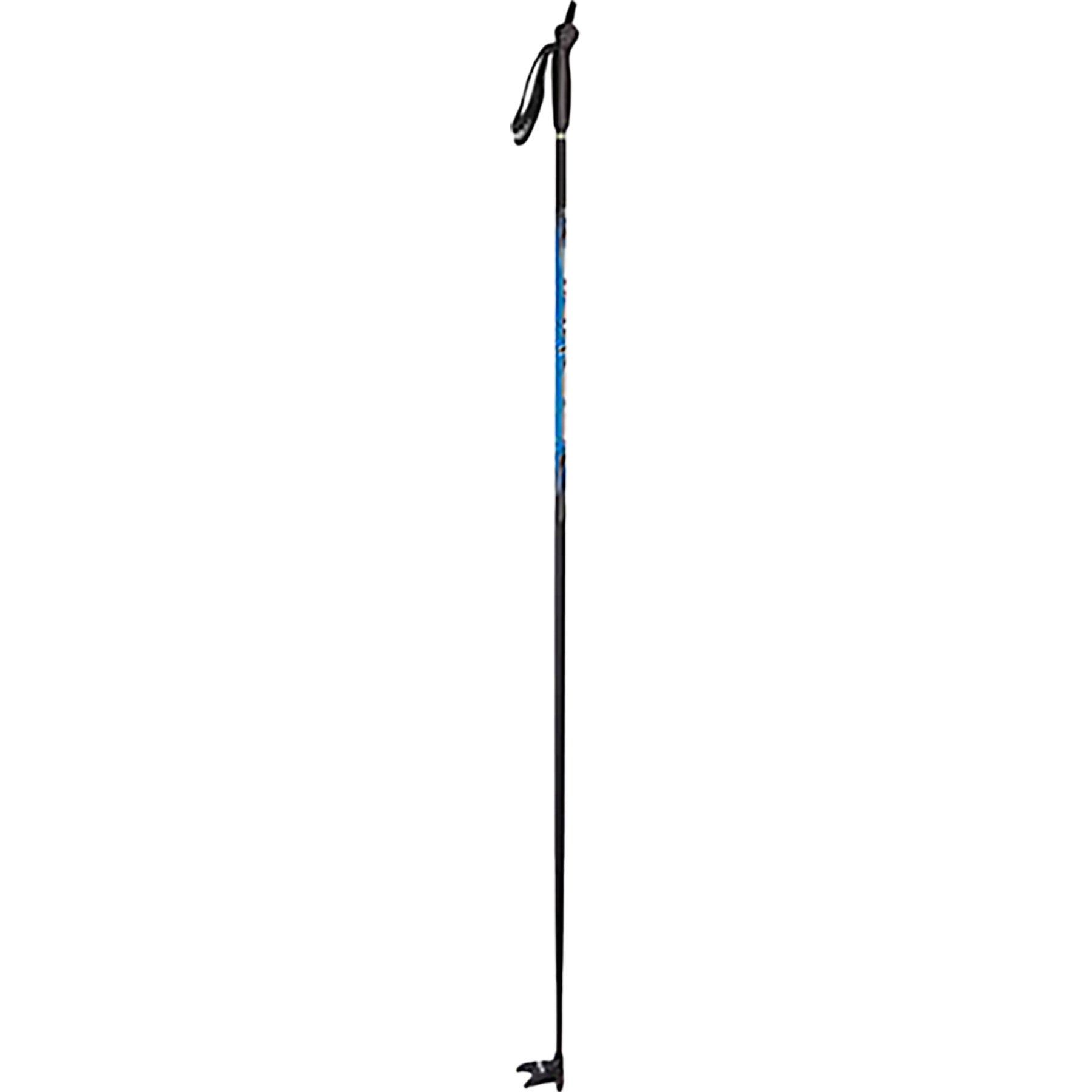 SkiGo Touring Pole