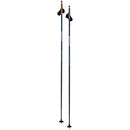 Swix Dynamic D2 Pole-1