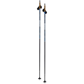 Swix Dynamic D2 Pole