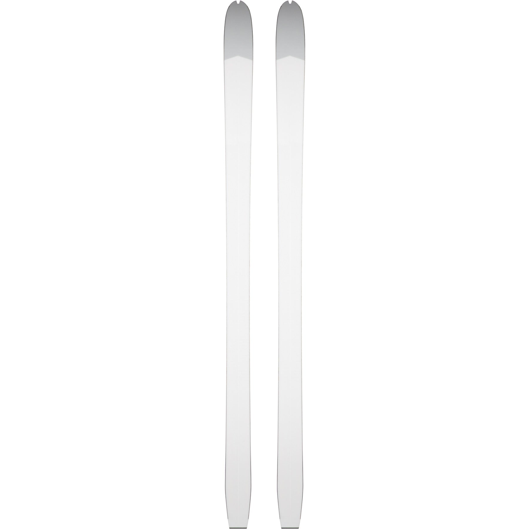 Rossignol XP 100 Positrack Ski | Boulder Nordic & Cycle Sport